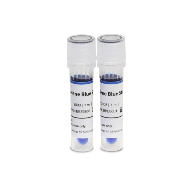 Methylene Blue Stain, 0.02%