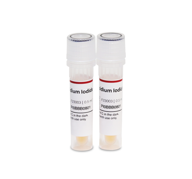 Propidium Iodide Stain