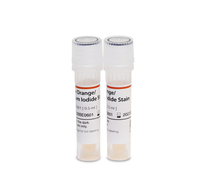 Acridine Orange / Propidium Iodide Stain